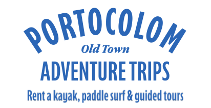 Logo footer